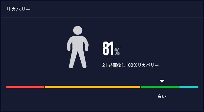リカバリーのパネル。81%、21時間後に100%リカバリー