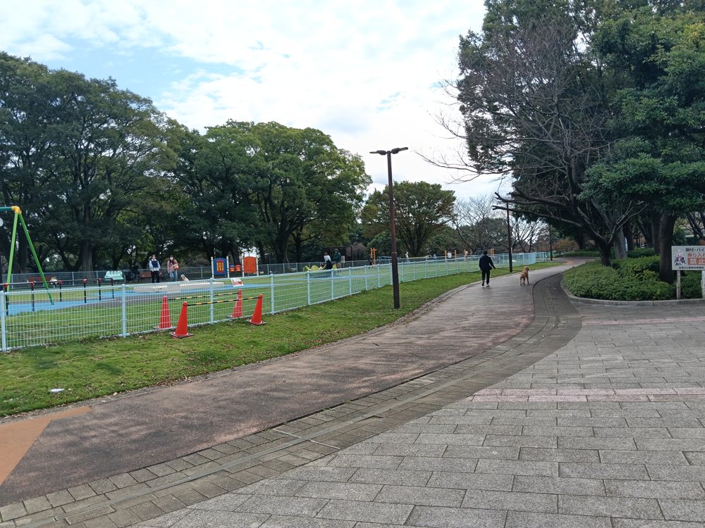 花島公園の園内の道。色の付いたゴムチップ舗装の道と石畳。左の柵の向こうに遊具のある広場、右に木立