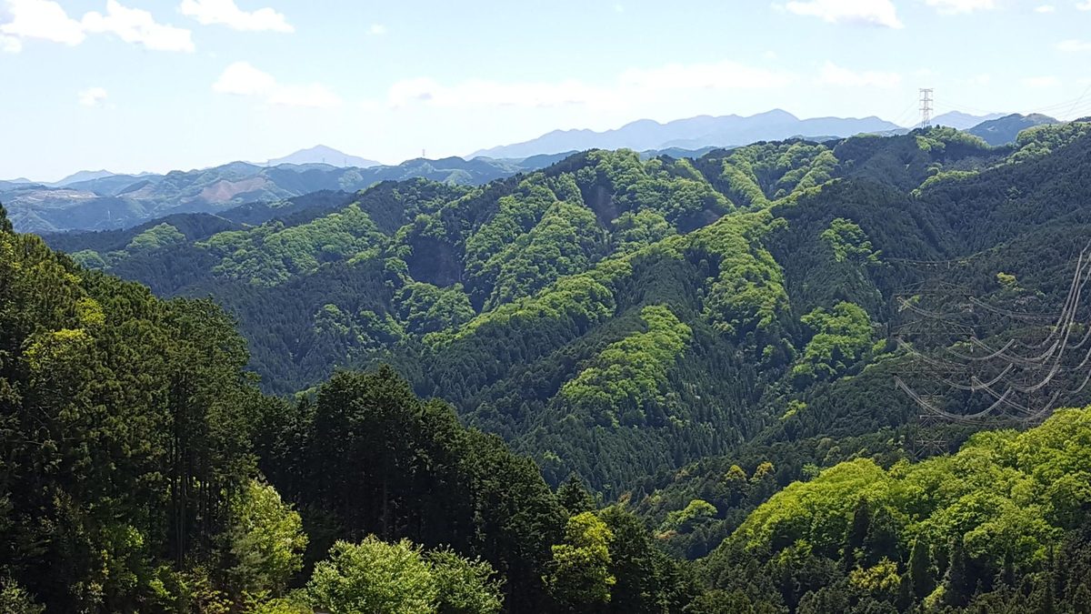 日の出山から見た奥多摩の山並み