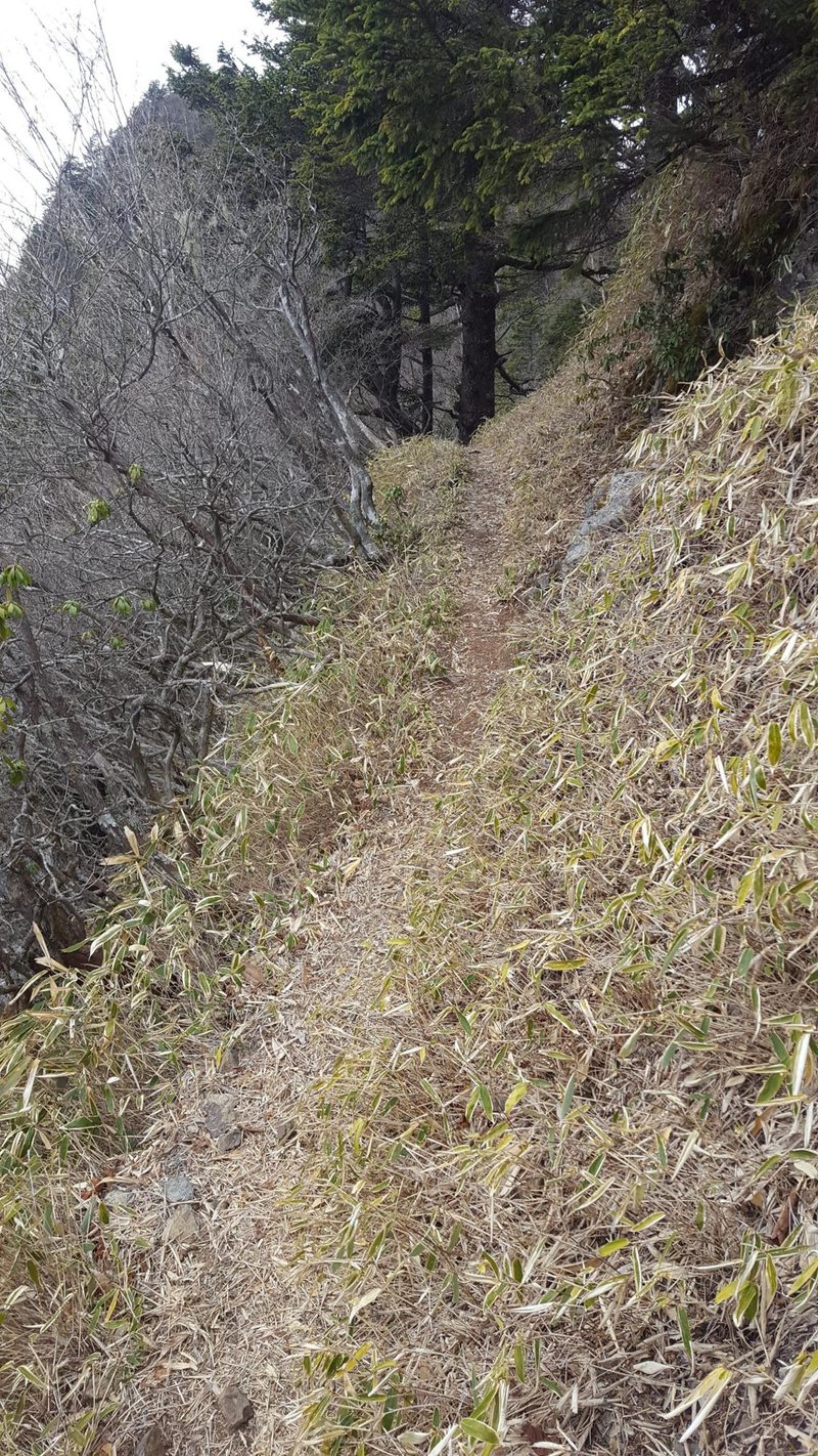 飛龍山へ向かう細い稜線の道