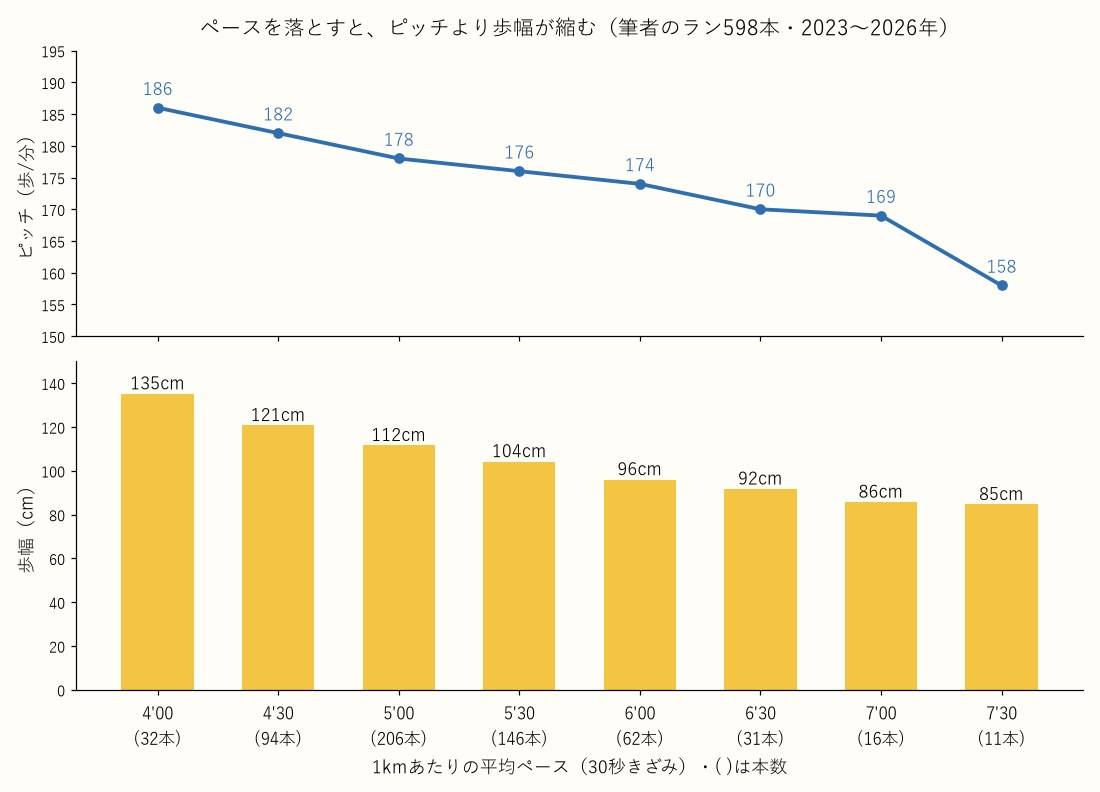 ペースごとのピッチと歩幅のグラフ。キロ4分でピッチ186・歩幅135cm、キロ7分でピッチ169・歩幅86cm