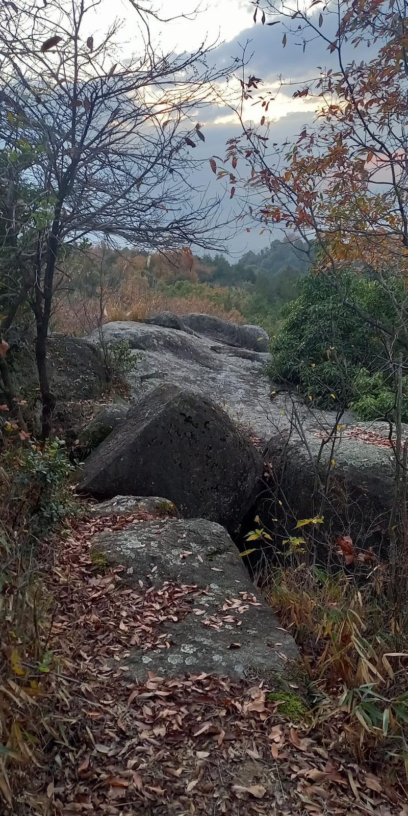 応神山の大きな岩