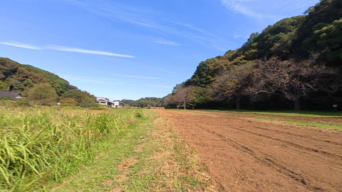 耕された畑の横を通る、草の生えた土の道。奥に山の木立