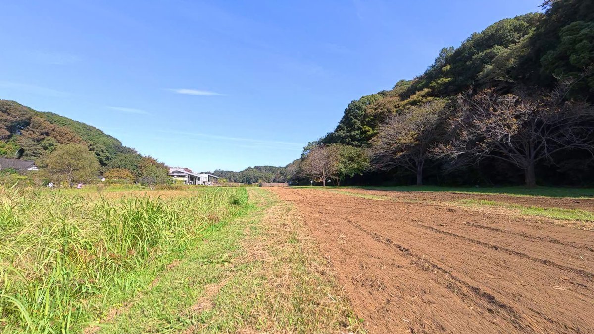 畑と草地の間をまっすぐ延びる土の道。奥に山
