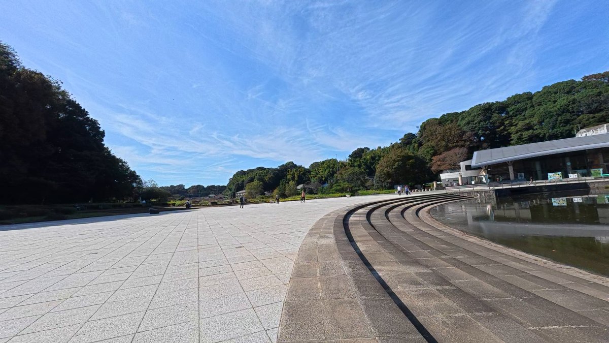 千駄堀池のそばの、石畳の広い広場。奥に建物と木立
