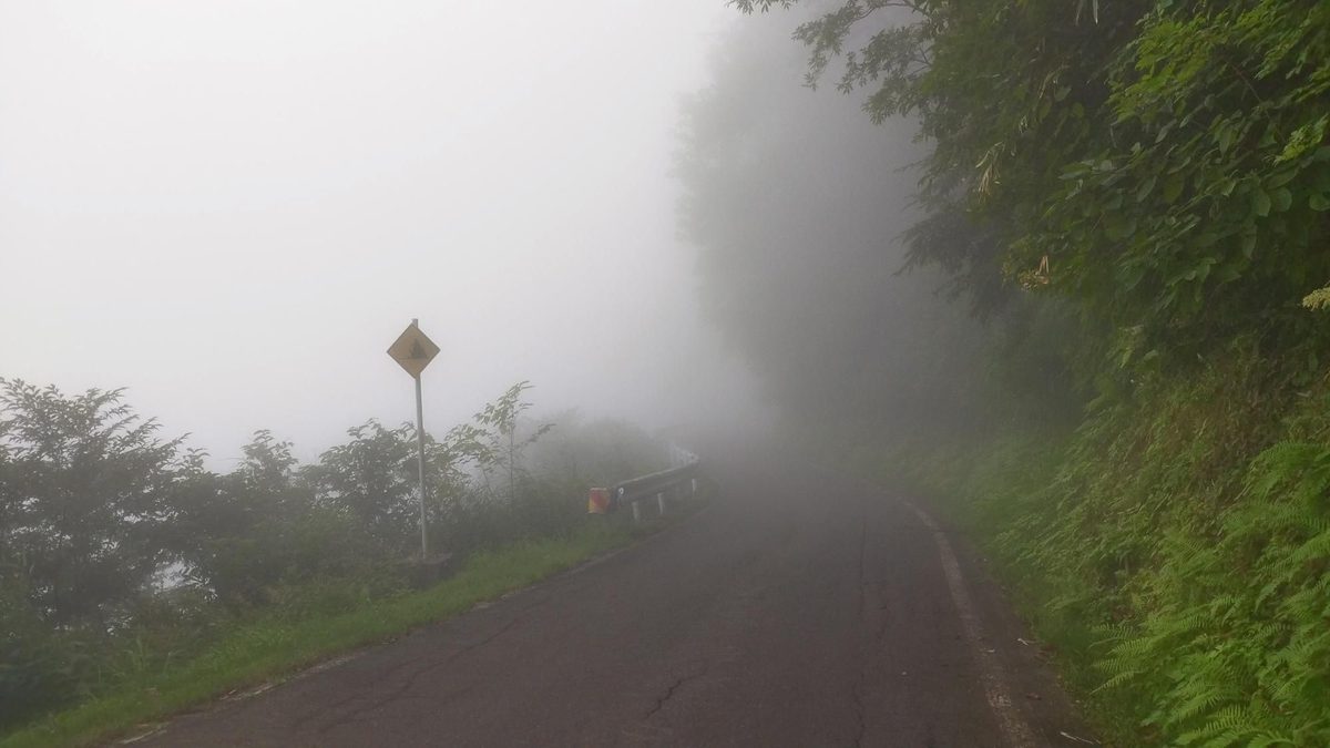霧に包まれた妙高の山道
