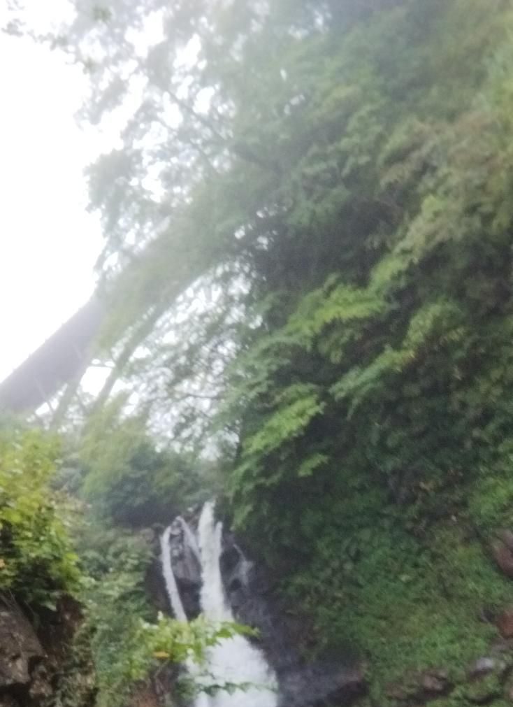 霧の中の不動滝