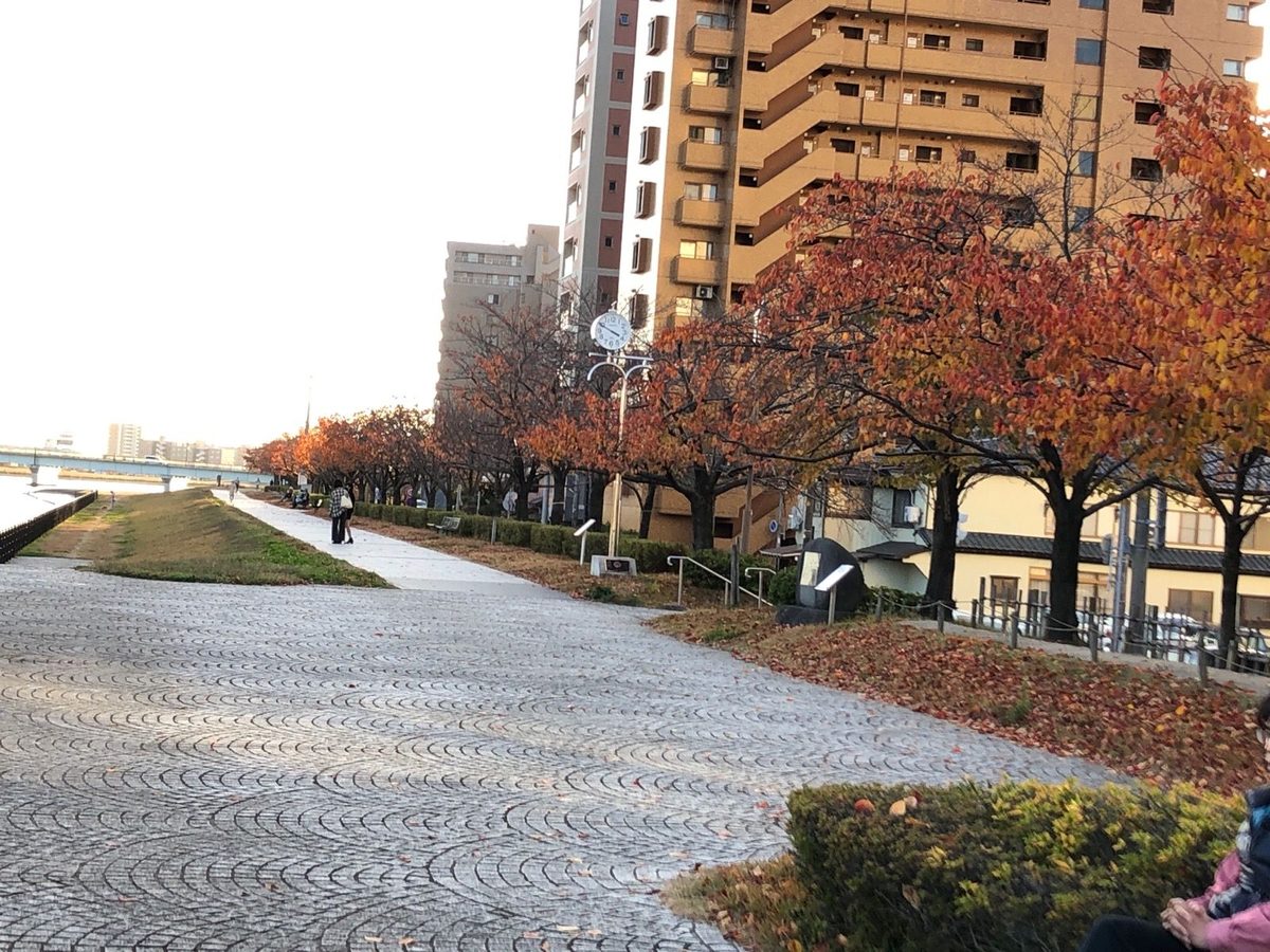 紅葉した並木が続くやすらぎ堤の遊歩道