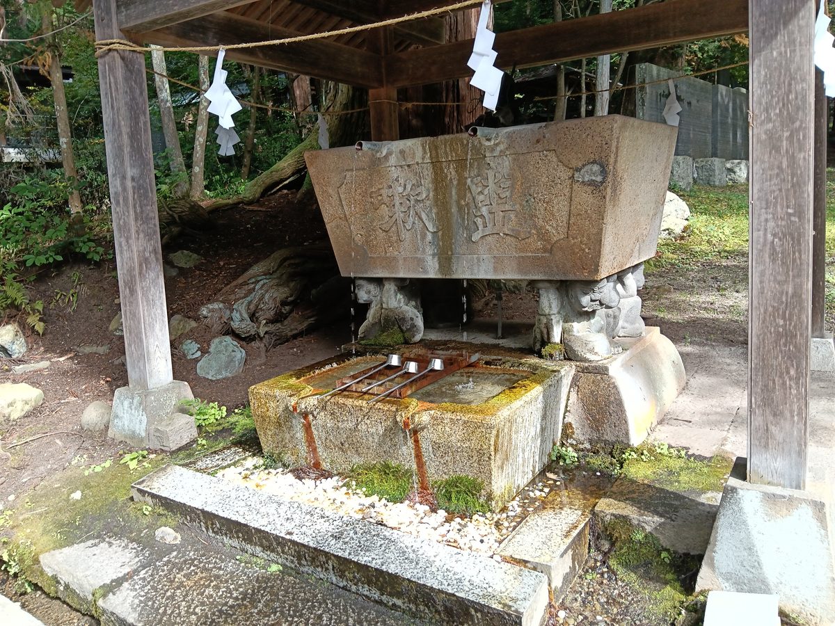 木の屋根の下にある、苔むした石の手水鉢