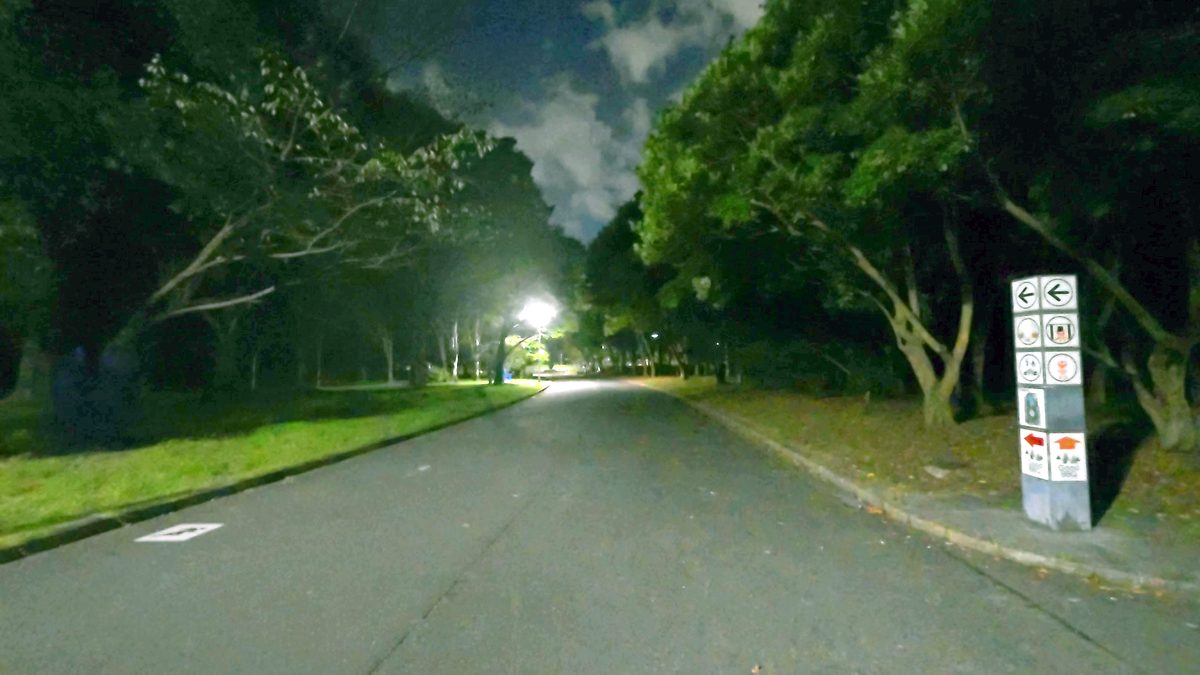 街灯に照らされた夜の公園の舗装路。左右に芝生と木が続いている