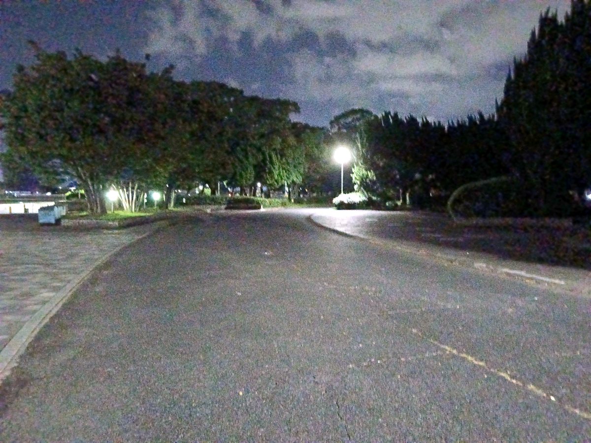 街灯に照らされた夜の公園の広い園路。両側に木が並んでいる