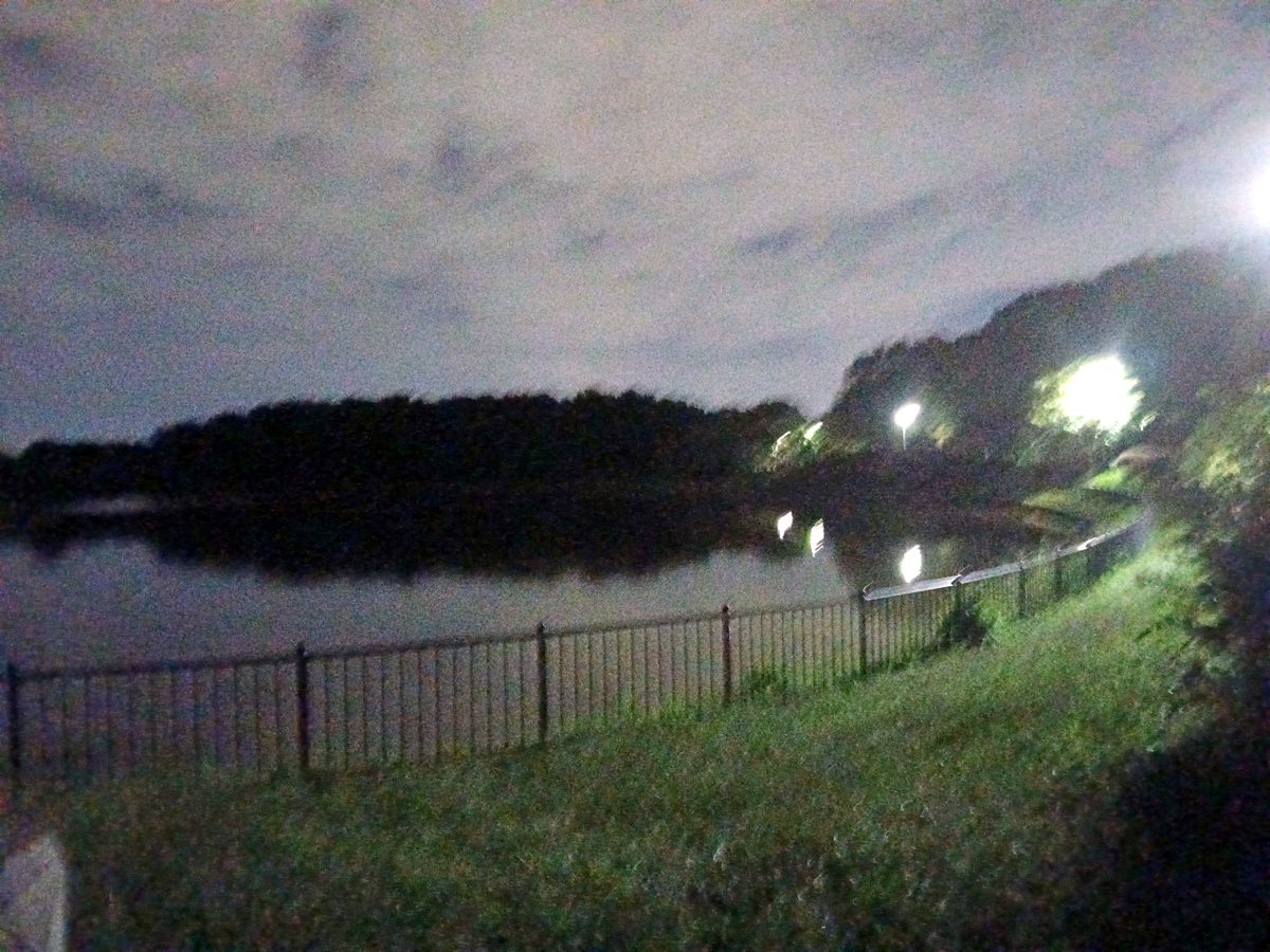 夜の大泉池。柵の向こうに暗い池が広がり、対岸の木立と街灯が光っている
