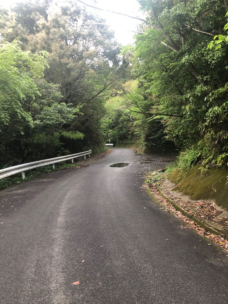 沖田ダムへ向かう山あいの道