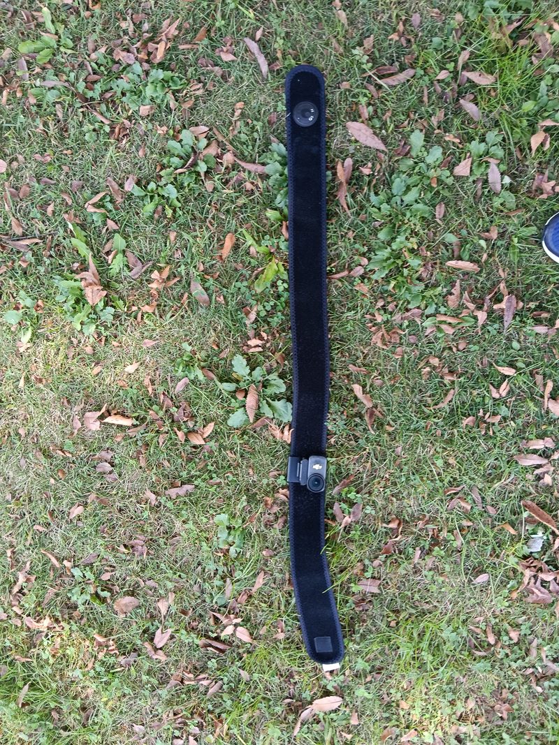 芝生の上に置いた、黒くて細長いベルトの全体
